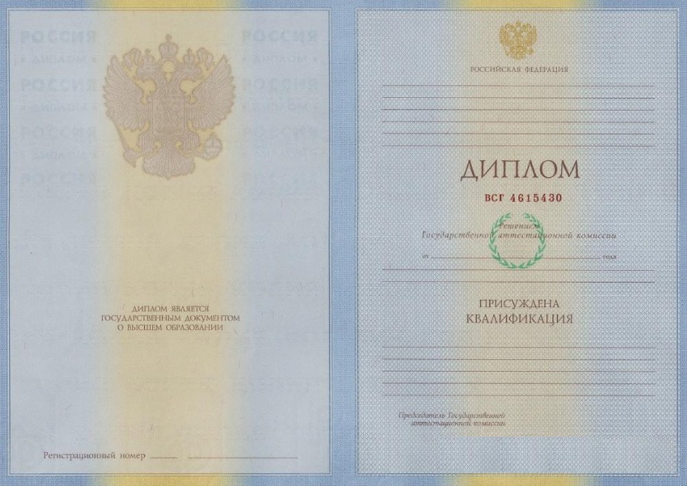 Диплом бакалавра 2004-2009 года
