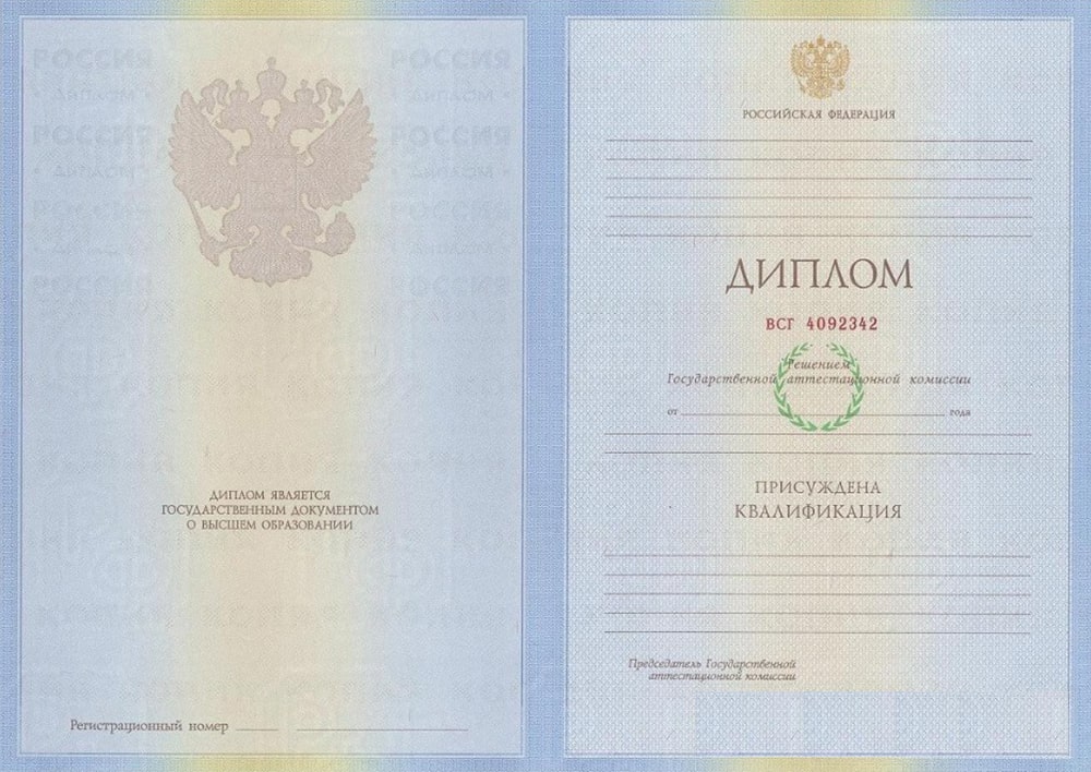 Диплом специалиста 2010-2011 года